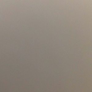 Meet your Posher, Nicolette